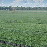 Growing rural jobs at NC State